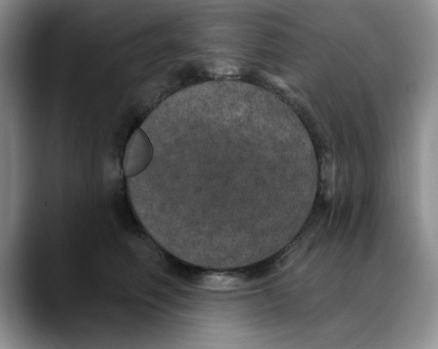 X0000088430614200706121452