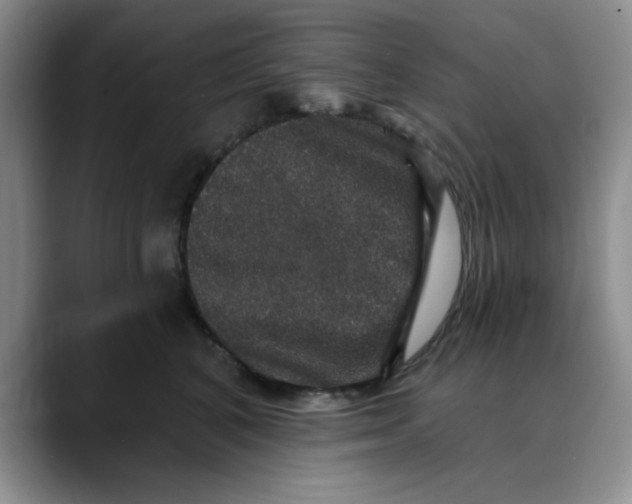 X0000088430616200706121452