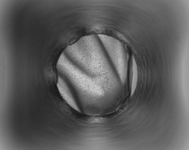 X0000088430617200706121452