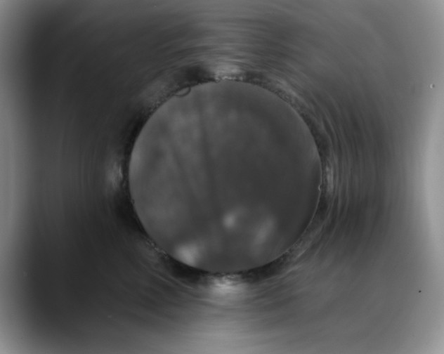 X0000088430618200706121452