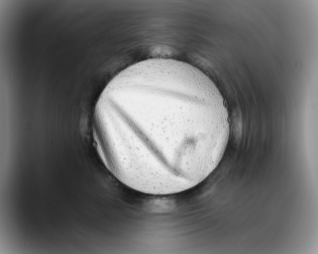 X0000088430619200706121452