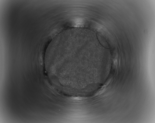 X0000088430620200706121452