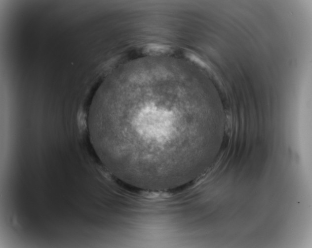 X0000088430621200706121452