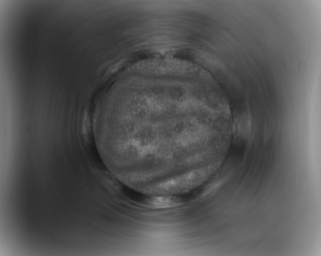 X0000088430623200706121451