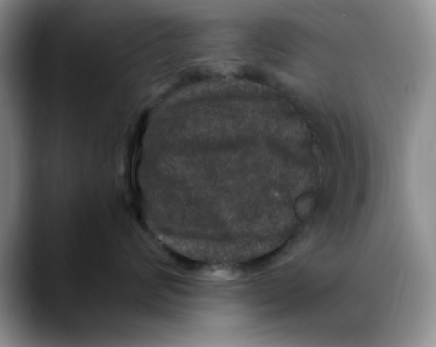 X0000088430624200706121451