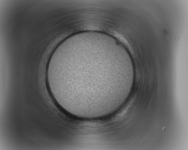 X0000088430625200706121451