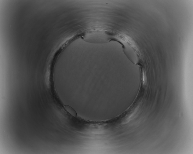 X0000088430627200706121451