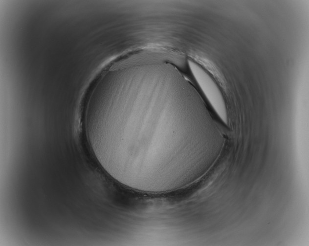 X0000088430628200706121451