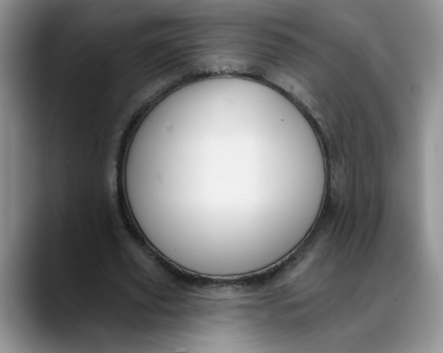 X0000088430629200706121451