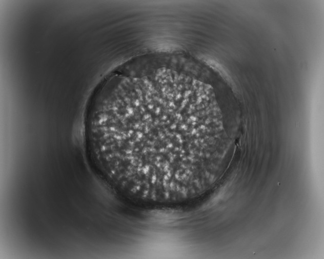 X0000088430630200706121451