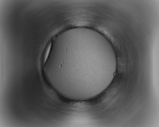 X0000088430631200706121451