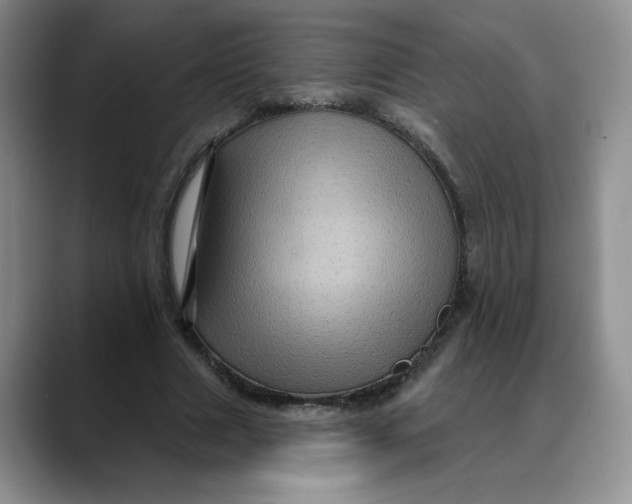 X0000088430633200706121451