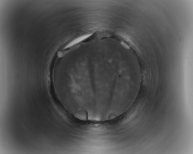 X0000088430634200706121451