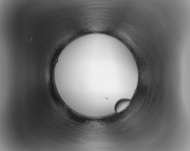 X0000088430635200706121451