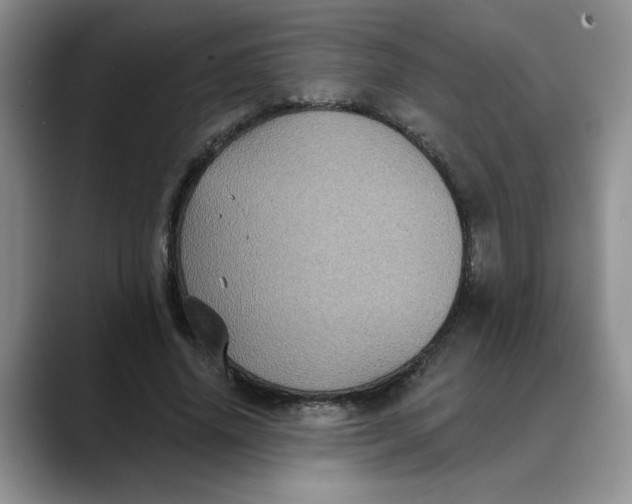 X0000088430636200706121451