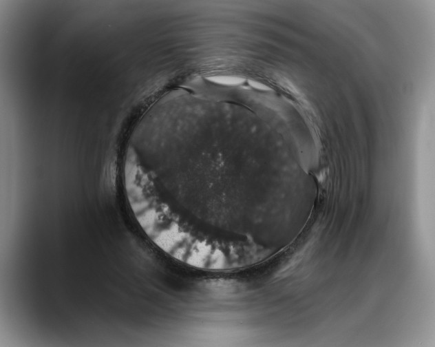 X0000088430637200706121451