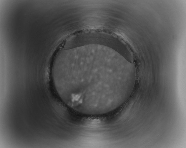 X0000088430640200706121451