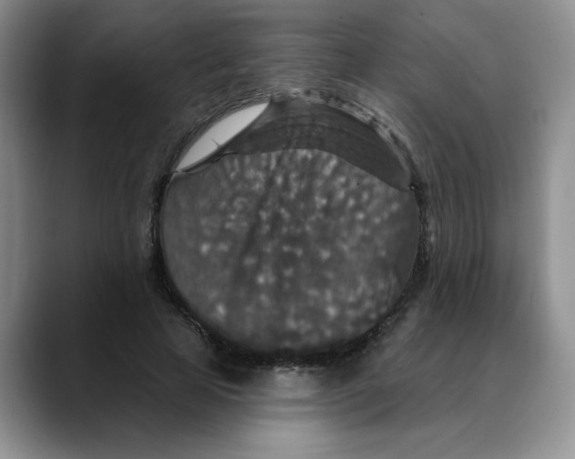 X0000088430641200706121451