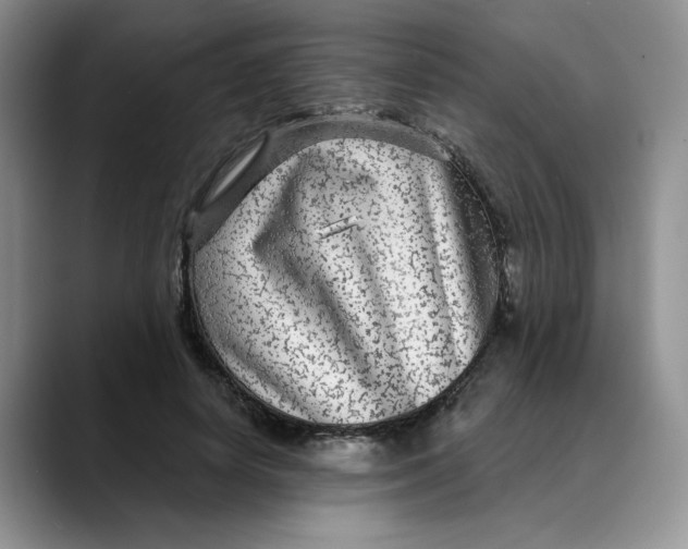 X0000088430642200706121451