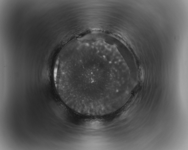 X0000088430643200706121451