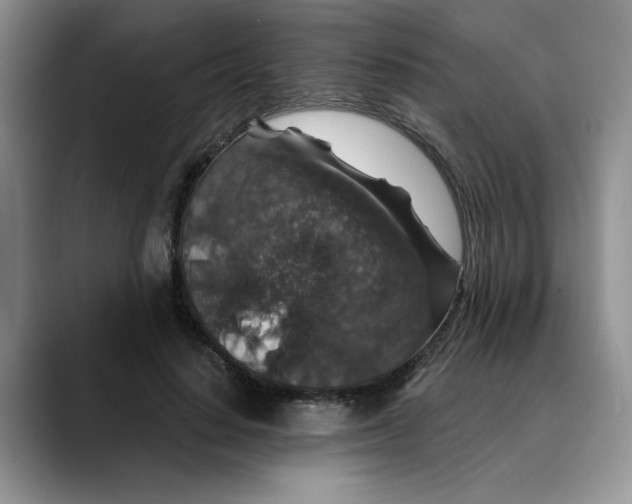 X0000088430644200706121451