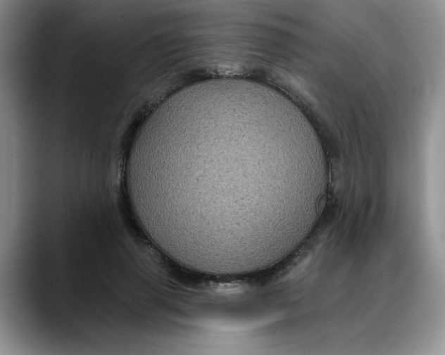 X0000088430645200706121451