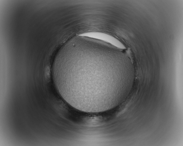 X0000088430646200706121451