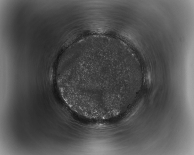 X0000088430647200706121451