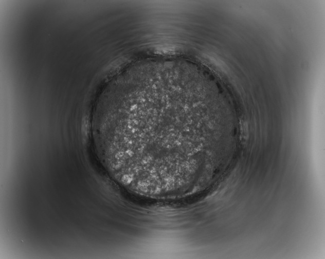 X0000088430648200706121451