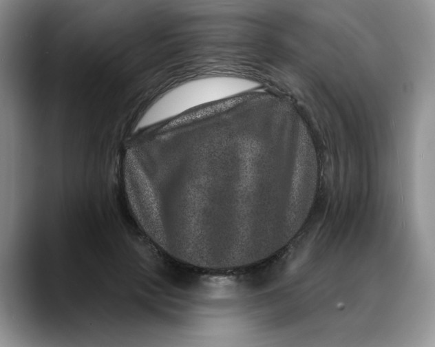 X0000088430649200706121451