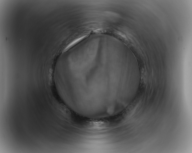 X0000088430650200706121451