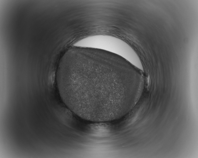 X0000088430652200706121451