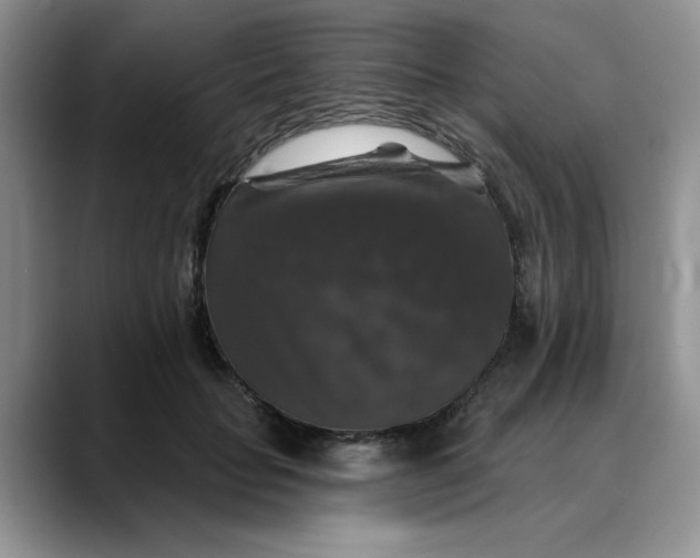 X0000088430653200706121451