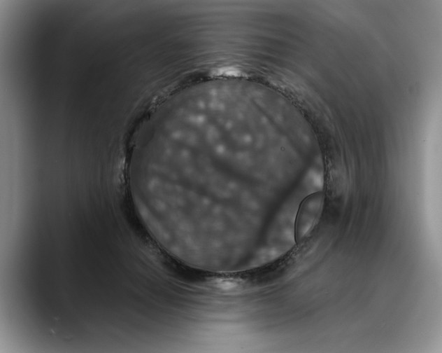 X0000088430654200706121451