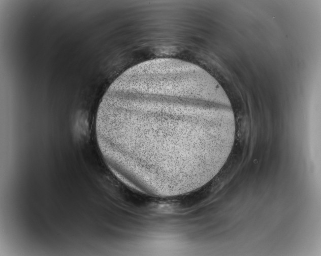 X0000088430655200706121451