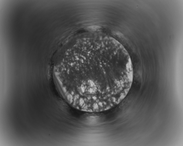 X0000088430658200706121451