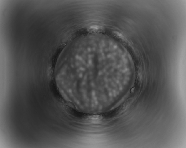 X0000088430659200706121451