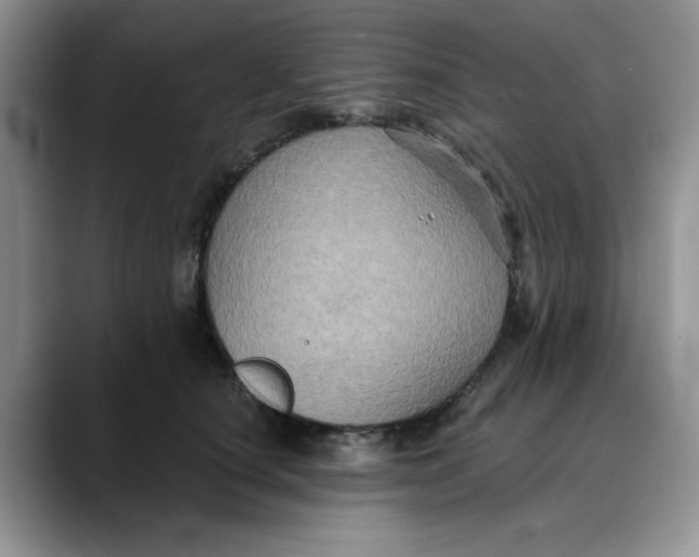 X0000088430660200706121451