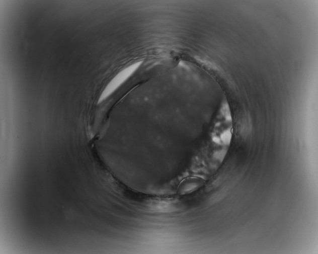 X0000088430661200706121451