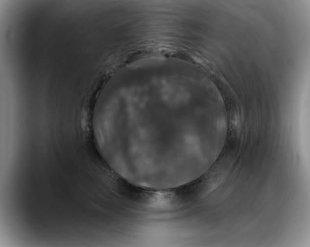 X0000088430663200706121451