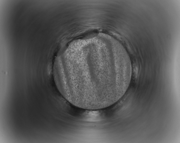 X0000088430665200706121451