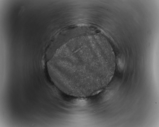 X0000088430668200706121451