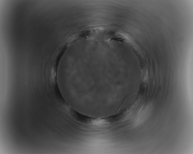 X0000088430669200706121451