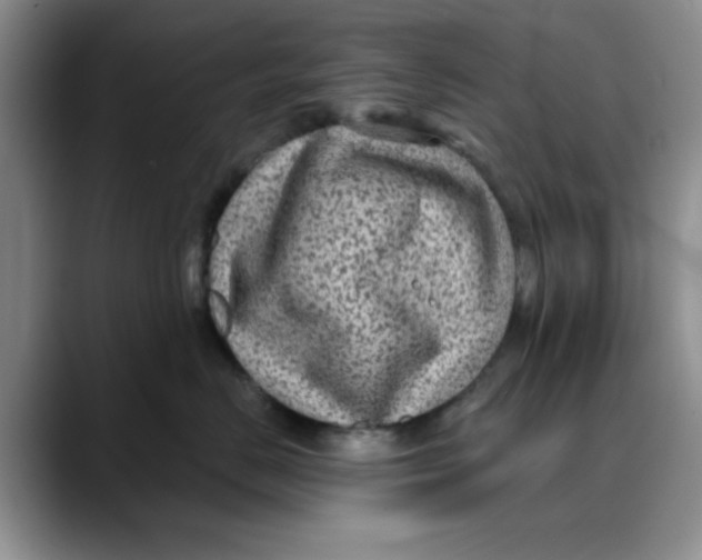 X0000088430670200706121451