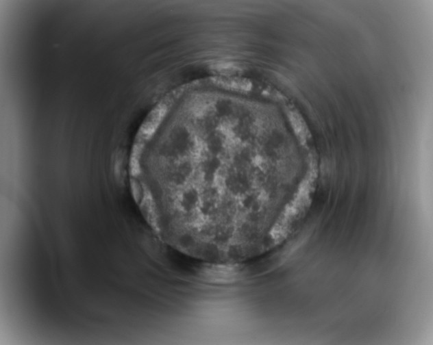 X0000088430671200706121451