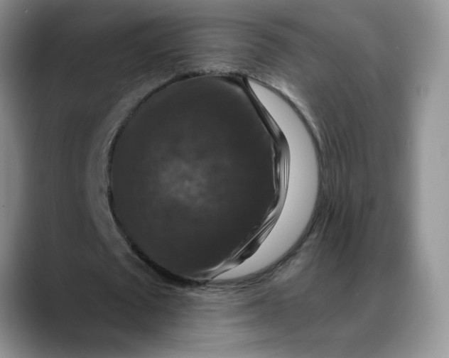 X0000088430673200706121451