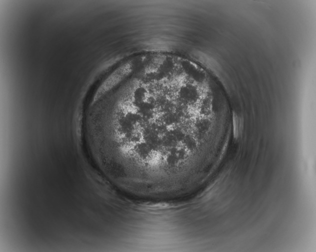 X0000088430675200706121451