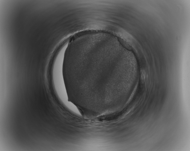 X0000088430676200706121451