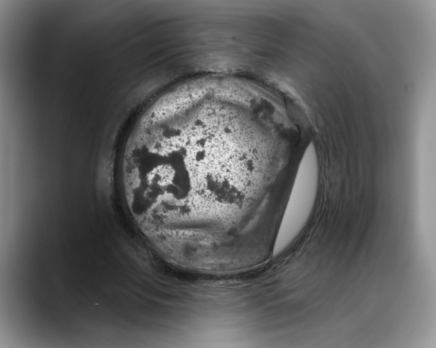 X0000088430679200706121451