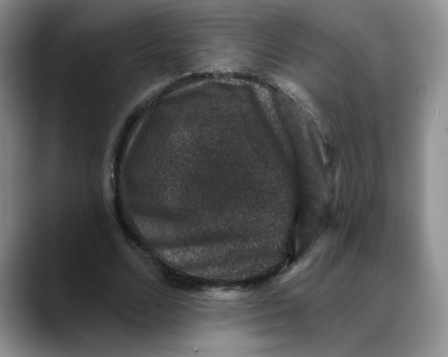 X0000088430680200706121451